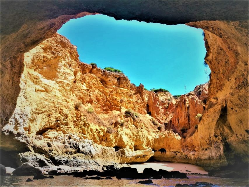 From Portimão: Private Boat Tour to Benagil Cave - Private boat energy: how the guides like Sergio, Simon, Rui, and Teodoro shape the day