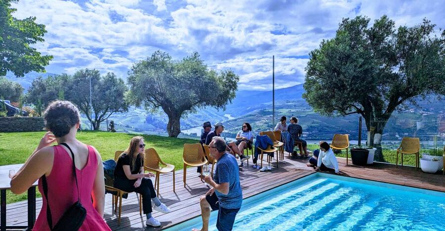 From Porto: 2 Wine Regions, Farm-to-Table Lunch & Boat - Douro Valley winery time: views, winemaker access, and the fire show