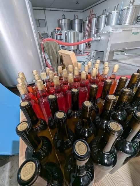From Porto: 2 Wine Regions, Farm-to-Table Lunch & Boat - Farm-to-table chef lunch with olive oil tasting