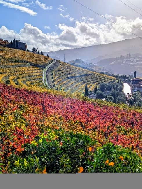 From Porto: 2 Wine Regions, Farm-to-Table Lunch & Boat - Pinhão village and the private boat cruise on the Douro