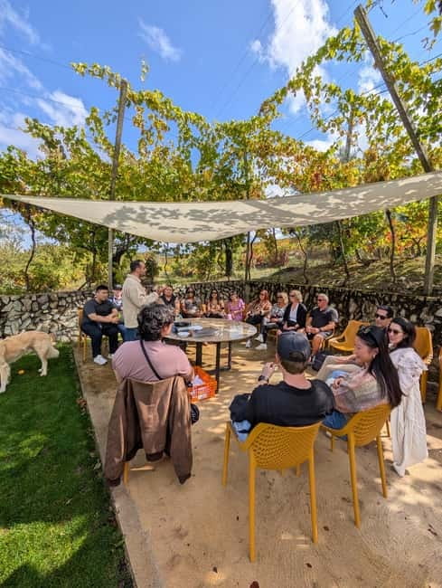 From Porto: 2 Wine Regions, Farm-to-Table Lunch & Boat - The tastings: what 11 pours teach you (without making it a lecture)