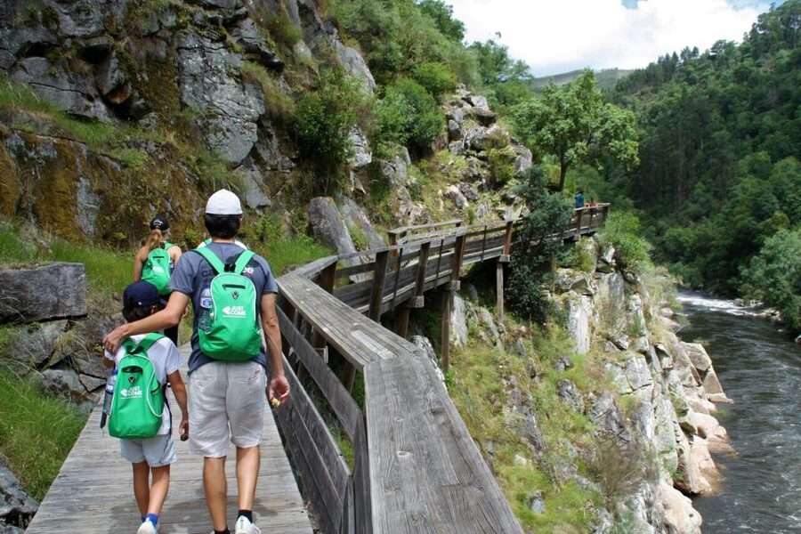 From Porto: 516 Arouca Bridge and Paiva Walkways Guided Tour - Should you book this Porto to Arouca bridge and Paiva Walkways day?