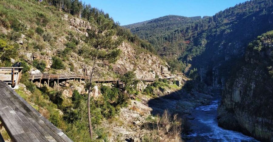 From Porto: Arouca 516 and Paiva Walkways Guided Day Trip - What the Arouca 516 and Paiva Walkways combo gives you