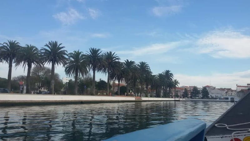 From Porto: Aveiro & Coimbra Tour with Moliceiro Boat Cruise - Aveiro Plus Coimbra From Porto: The Big Idea