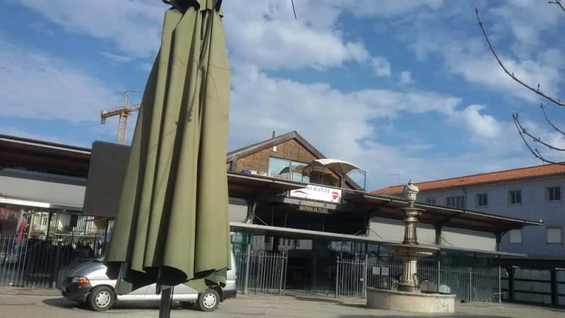 From Porto: Aveiro & Coimbra Tour with Moliceiro Boat Cruise - The Van Schedule Matters More Than You Think