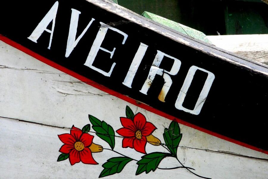 From Porto: Aveiro Half-Day Tour with 1-Hour Cruise - From Porto to Aveiro: The 4-Hour Loop That Changes Your Pace