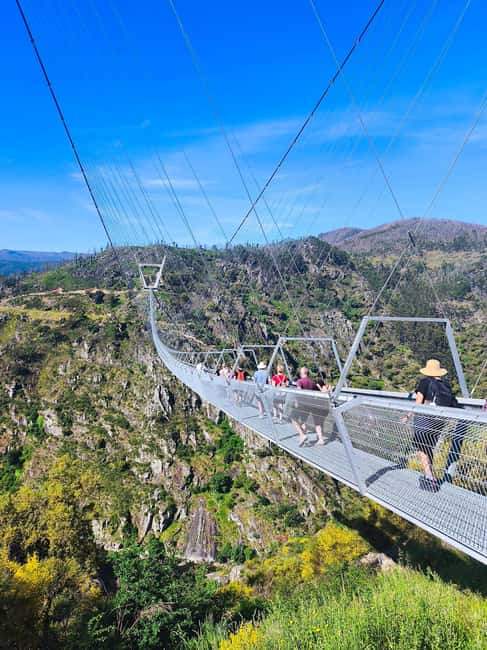 From Porto: Aveiro, Paiva Walkways and Arouca 516 Footbridge - Key Highlights That Make This Tour Worth Your Time