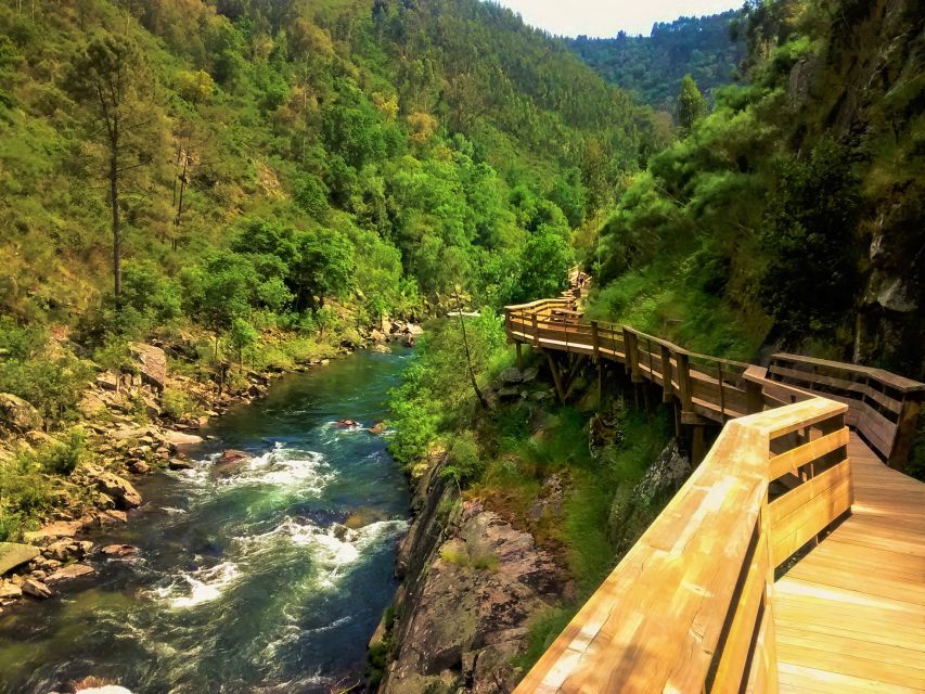 From Porto: Aveiro, Paiva Walkways and Arouca 516 Footbridge - Arouca 516 Suspension Bridge: What It Feels Like and How to Decide