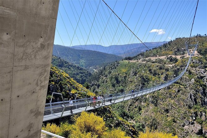 From Porto: Aveiro, Paiva Walkways, Suspension Bridge and Lunch - Arouca 516 suspension bridge, your first big wow from Porto