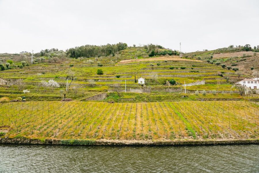 From Porto: Douro River Cruise to Régua with Lunch - Small Problems To Plan For On The Day