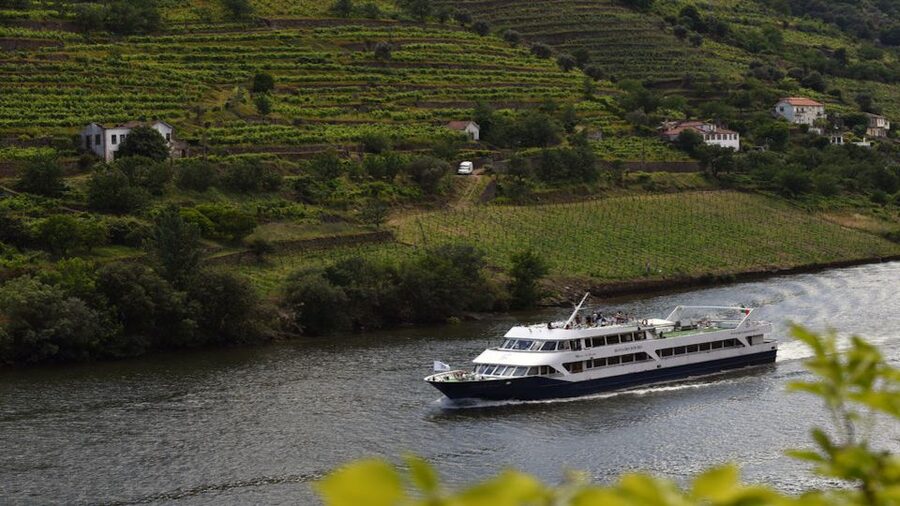 From Porto: Douro River Cruise, Winery Visit & Lunch - Quinta da Roêda: a guided estate visit in Pinhão