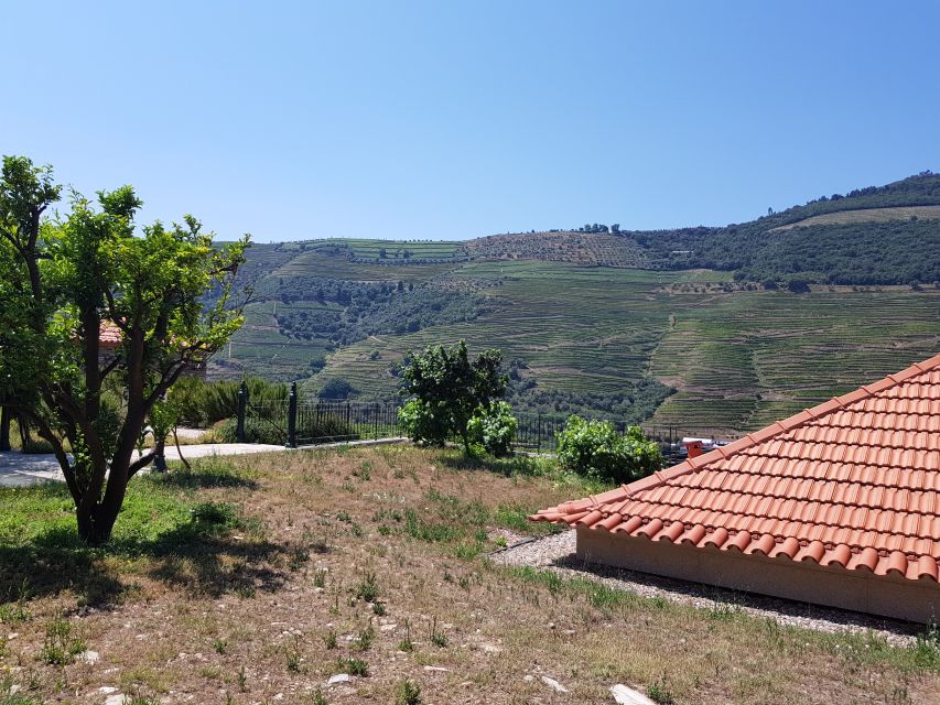 From Porto: Douro Valley 3 Vineyards Tour with Lunch - Sightseeing stop and river views, the calm break in the middle