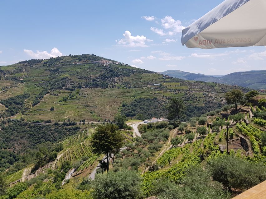 From Porto: Douro Valley 3 Vineyards Tour with Lunch - The drive along National Highway 222, and what to watch for