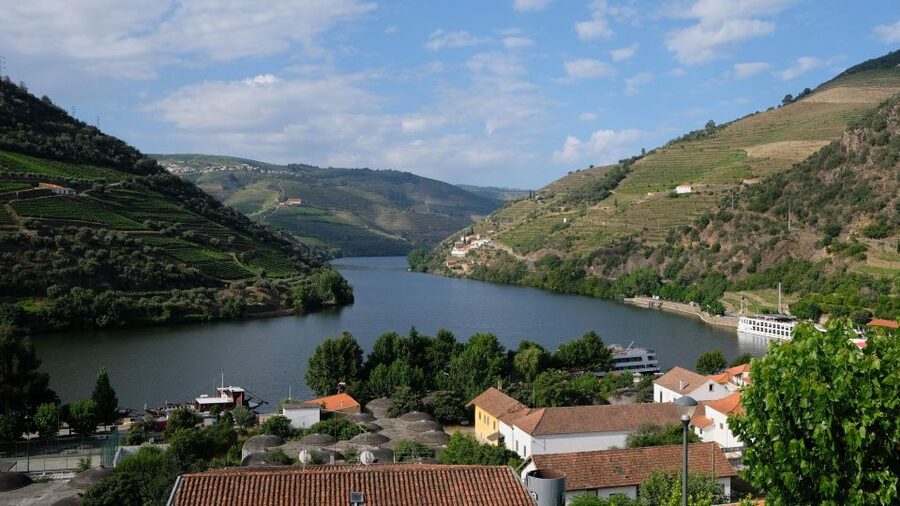 From Porto: Douro Valley Tour with Tastings, Boat & Lunch - Porto pickup and the van ride that sets expectations