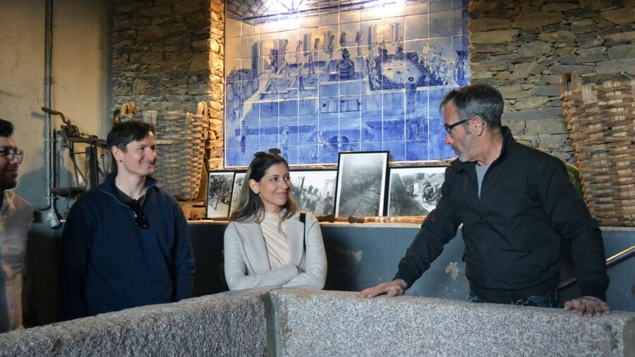 From Porto: Douro Valley Tour with Tastings, Boat & Lunch - Pinhão boat cruise: the best view is from the water