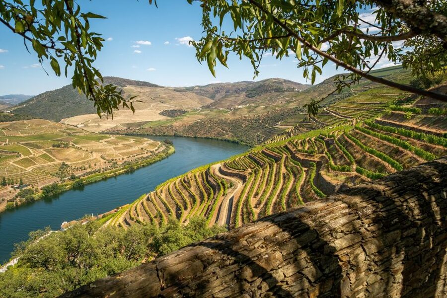 From Porto: Douro Valley Tour with Tastings, Boat & Lunch - Who you will be with, and why the group size changes everything