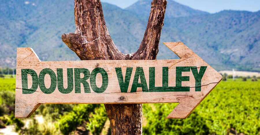From Porto: Douro Valley w/ Boat Tour, Wine Tasting & Lunch - Timing, Group Size, and Comfort on a Full Day