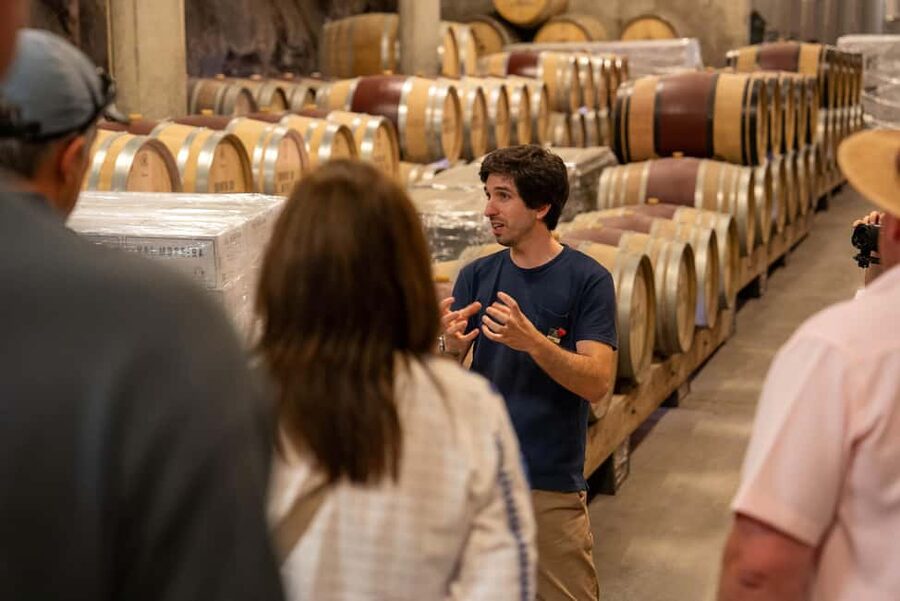 From Porto: Douro Valley Wine Tour with Lunch and Cruise - Lunch at the second estate: 3 courses, Douro DOC pairings, and the best pause