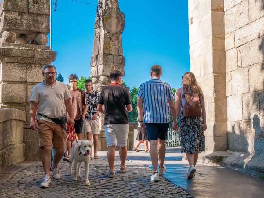 From Porto: Douro Valley Wine Tour with Lunch and Cruise - Winery stop two: more tasting variety, and how to compare styles