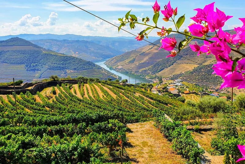 From Porto: Douro Valley with Wineries, Lunch and Boat Trip - Key highlights to plan for