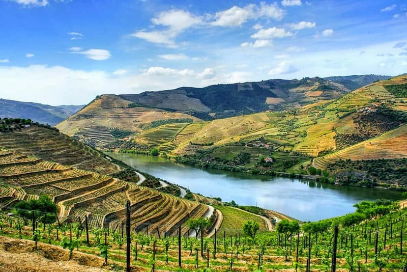 From Porto: Douro Valley with Wineries, Lunch and Boat Trip - Porto to the Douro in a small-group van: the day’s basic rhythm
