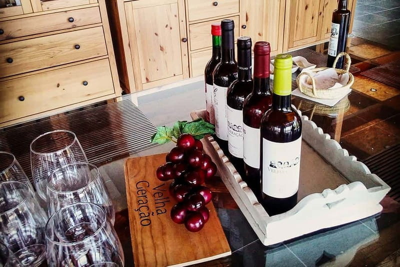 From Porto: Douro Valley with Wineries, Lunch and Boat Trip - Amarante and Peso da Régua: quick stops that actually help your day