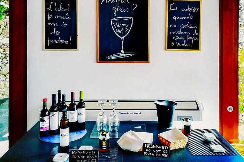 From Porto: Douro Valley with Wineries, Lunch and Boat Trip - Quinta do Seixo and Port tasting: the winery stop that sets the tone