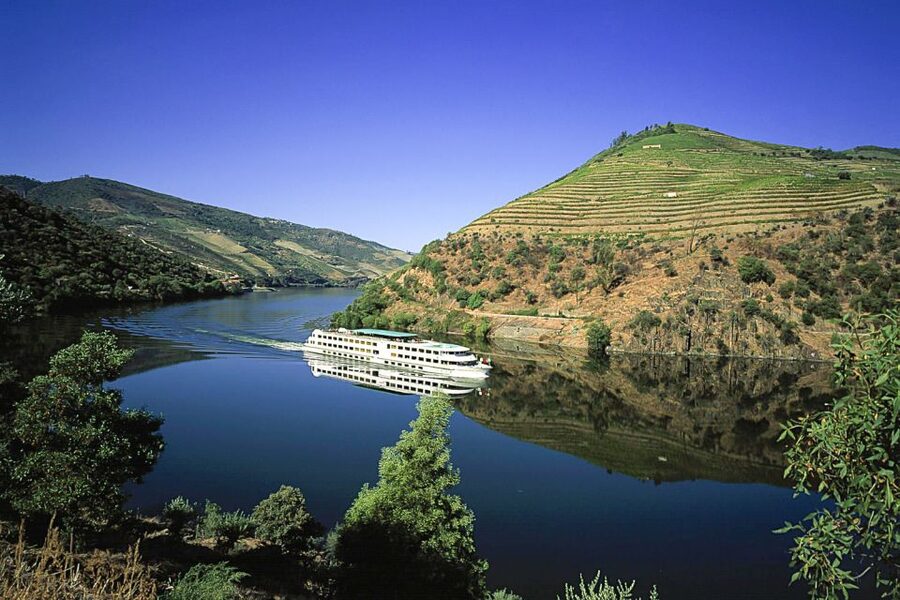 From Porto: Full-Day Douro Historical Tour - Key highlights at a glance