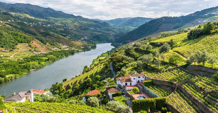 From Porto: Full-Day Douro Historical Tour - A Douro day built for your first visit from Porto