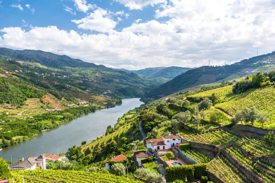 From Porto: Full-Day Douro Historical Tour - Amarante: river town energy plus real monastery history