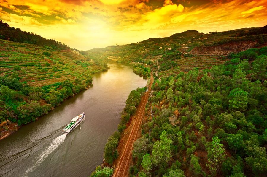 From Porto: Full-Day Douro Historical Tour - Price and value: what $104 gets you in one long day