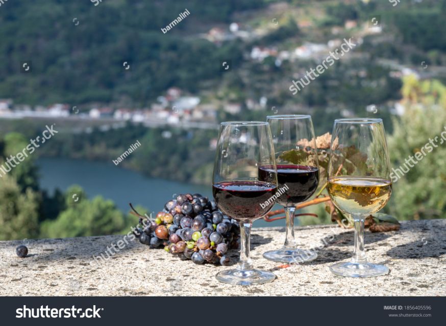 From Porto: Full-Day Douro Historical Tour - Meeting in Porto near São Bento, then heading into Douro country