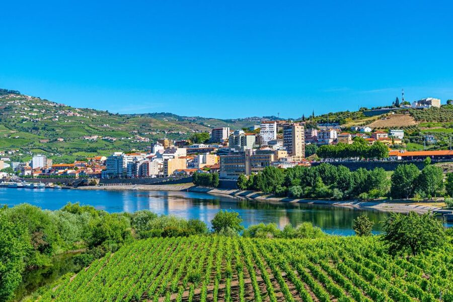 From Porto: Full-Day Douro Valley Trip - Photo stops and viewpoint driving on the N222
