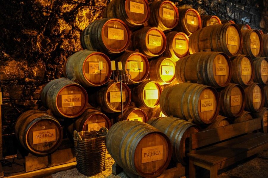 From Porto: Full-Day Douro Valley Trip - How the tastings, Port focus, and olive oil fit together