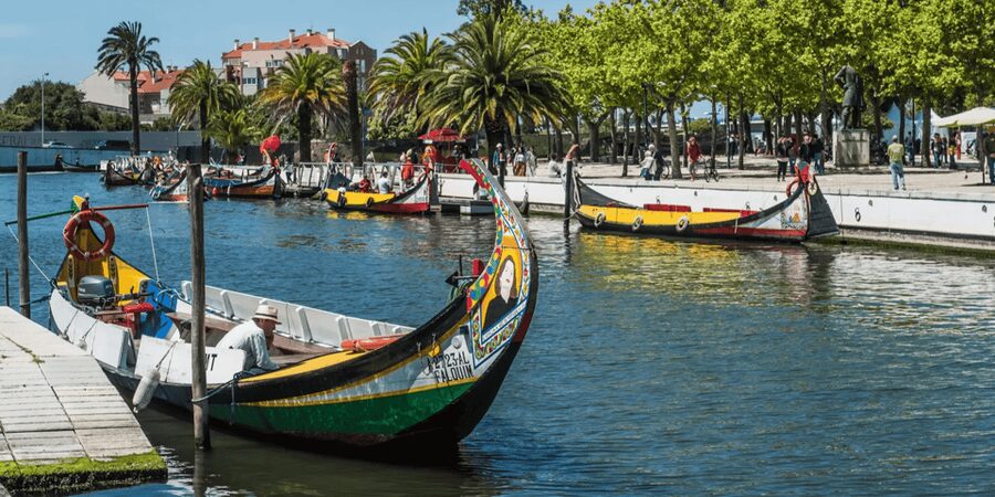 From Porto: Full-Day Trip to Coimbra & Aveiro with Boat Ride - What to do with your Coimbra lunch hour and why planning helps