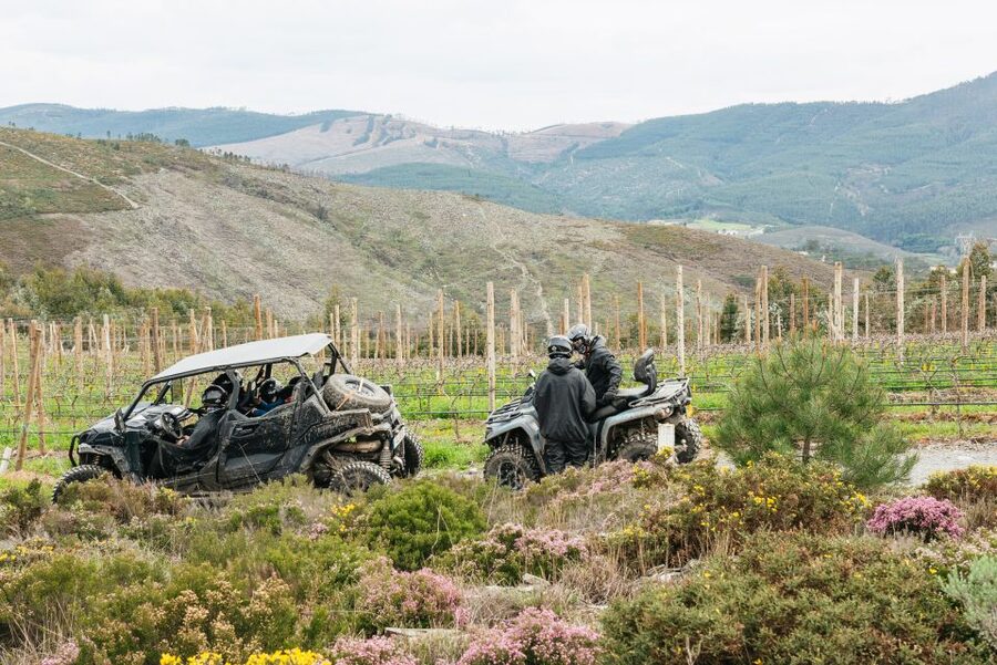 From Porto: Off-Road Buggy Adventure - Key things to know before your buggy starts