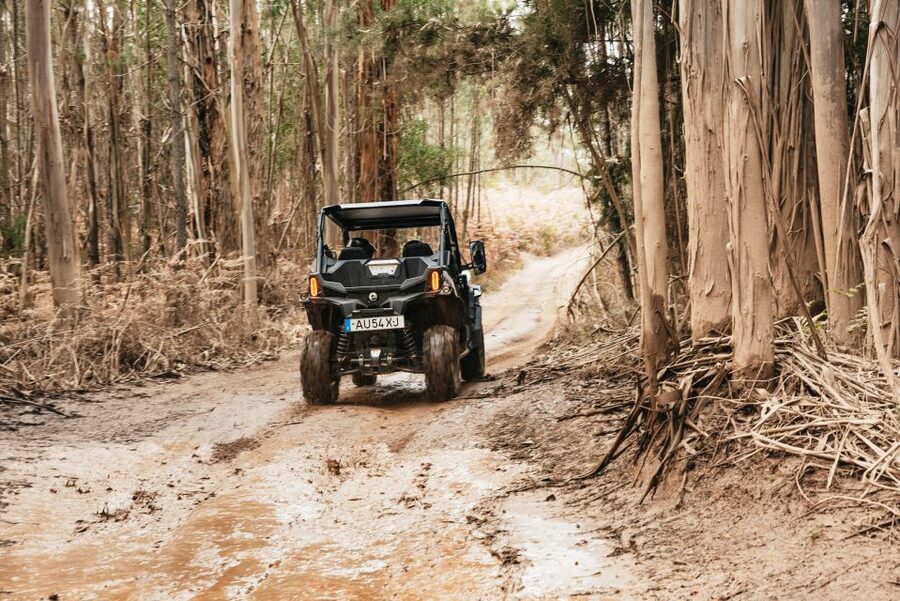 From Porto: Off-Road Buggy Adventure - Languages and guides: you’ll be understood