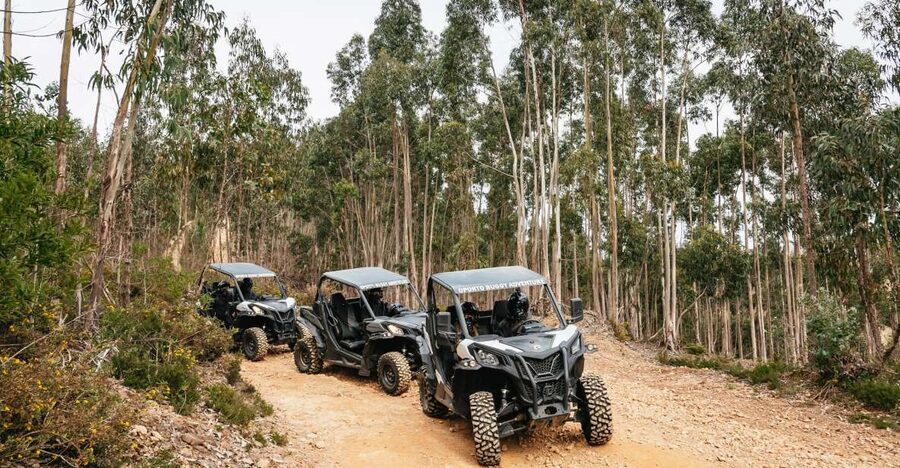 From Porto: Off-Road Buggy Adventure - A buggy outing that shows the Porto hills, not just the city