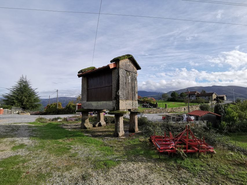 From Porto: Peneda-Gerês National Park Tour with Lunch - Guide energy and style: you’ll likely feel it quickly