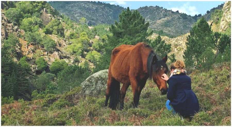 From Porto: Peneda-Gerês National Park Tour with Lunch - Tour pace and group size: why 8 people helps