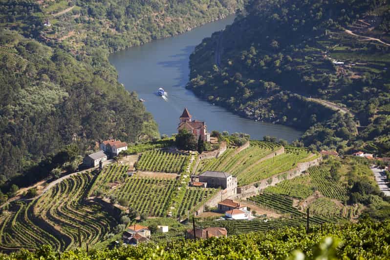 From Porto: Premium Douro Valley Small-Group Wine Tour - Key things that make this Douro day different