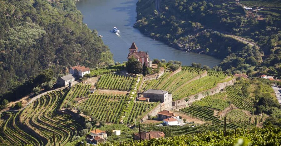 From Porto: Premium Douro Valley Small-Group Wine Tour - First Winery Stop: Port and Table Wine Tasting With Real Context