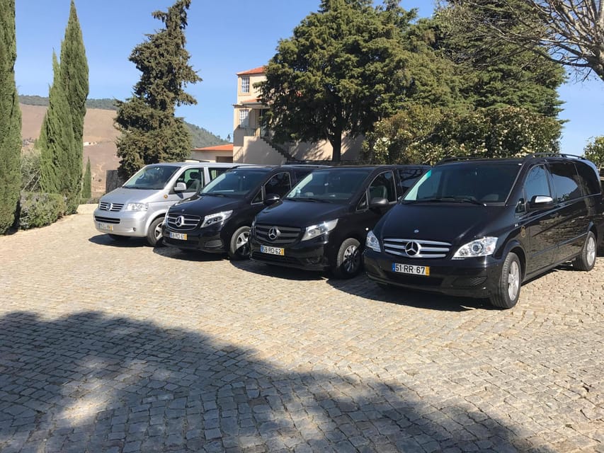 From Porto: Premium Douro Valley Small-Group Wine Tour - What You Taste on This Tour, and How to Pace It