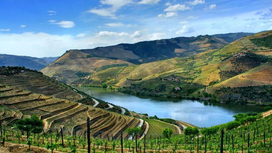 From Porto: Régua to Porto River Cruise with Lunch on Board - A Relaxed Douro Escape From Porto (Without Needing a Plan)