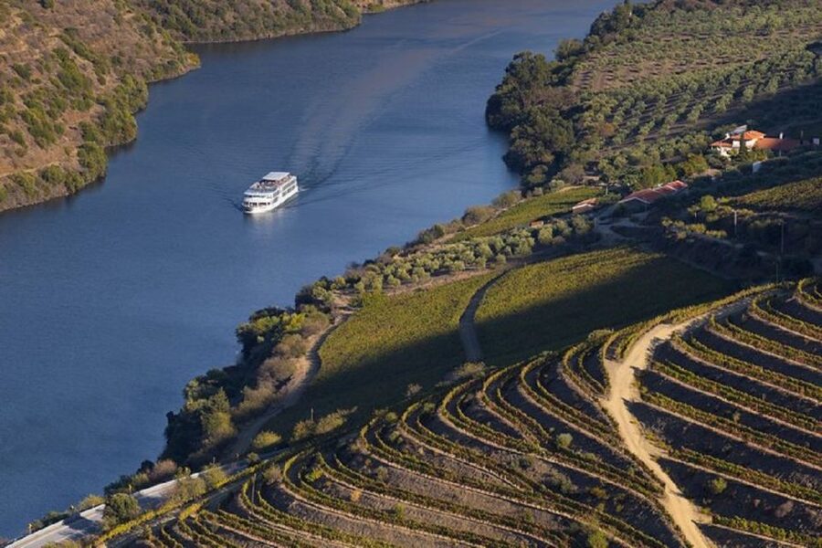 From Porto: Régua to Porto River Cruise with Lunch on Board - Régua: UNESCO Wine Country Stop You Actually Use
