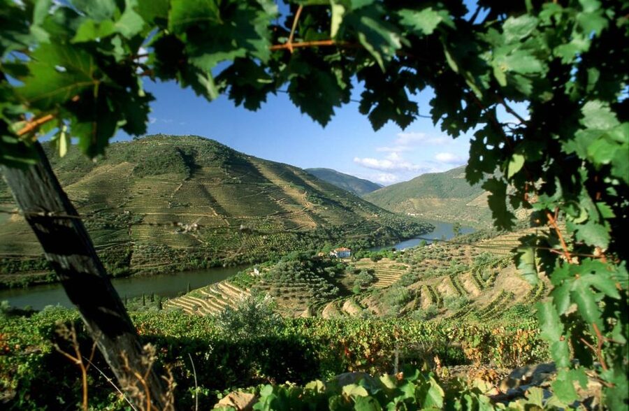 From Porto: Régua to Porto River Cruise with Lunch on Board - Getting There: Porto to Régua by Bus (and Why It Matters)