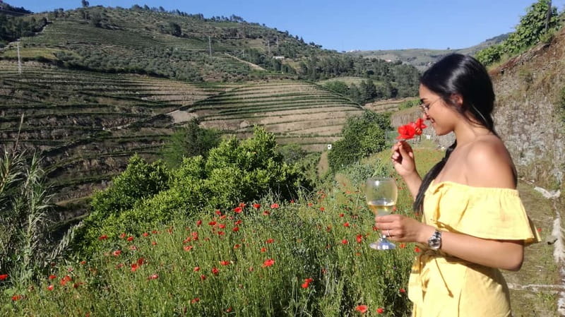 From Porto: Tastings at 2 Wineries, Chef's Lunch & Boat Tour - Sabrosa winery visit, guided tastings, and olive oil culture