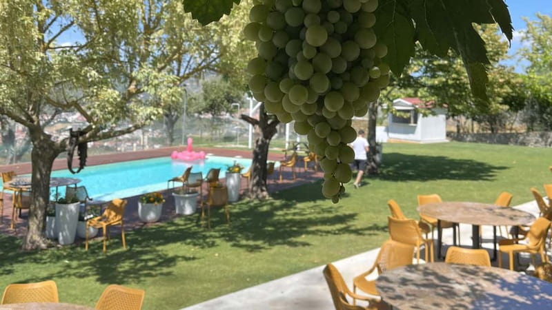 From Porto: Tastings at 2 Wineries, Chef's Lunch & Boat Tour - Farm-to-table lunch in the Douro, paired with D.O.C. wines