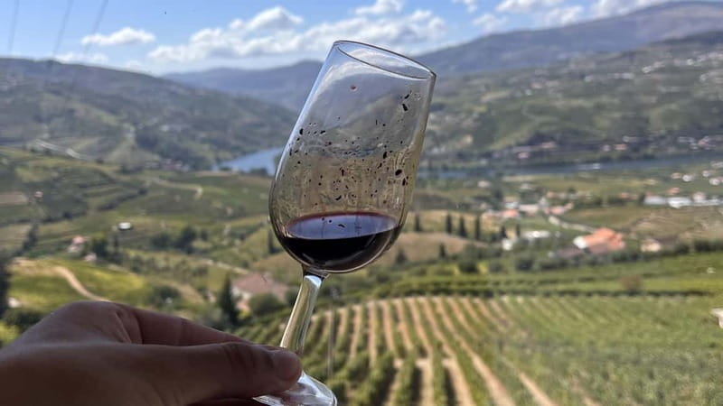 From Porto: Tastings at 2 Wineries, Chef's Lunch & Boat Tour - Should you book aDayinDouro’s tastings plus boat tour?