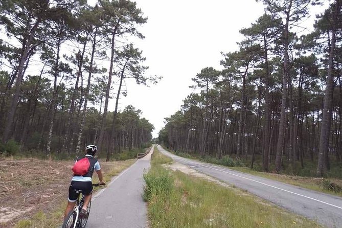 From Porto with view to Gaia: Private Bike Tour #DuckSideOfPorto - Ferry topside: how Douro River photos get easier on this tour